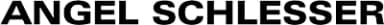 Angel Schlesser logo