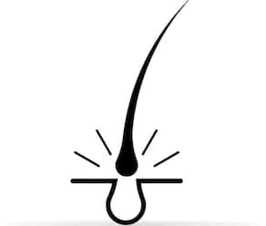 Hair Removals logo