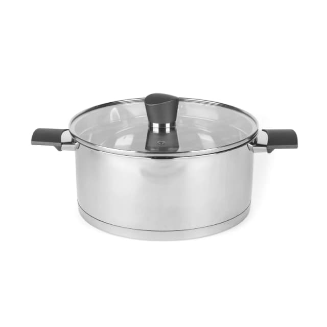 Russell Hobbs Stainless Steel Tempered Glass Lid PFOA-Free Induction Stock Pot Silver unisex One Size